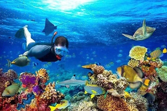 Small-group snorkel tour at West End Roatan over the world's second-largest coral reef in Honduras
