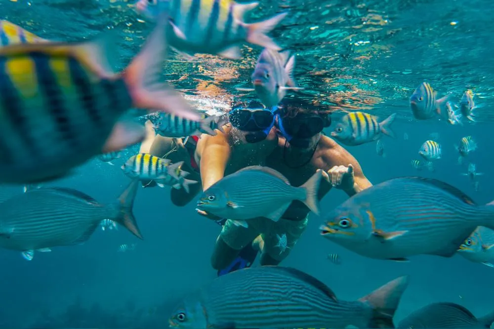 A snorkeler exploring the Mesoamerican Barrier Reef on a Roatan Honduras snorkeling excursion